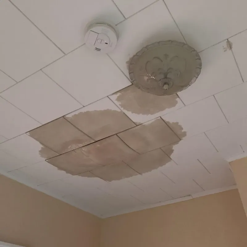 Ceiling Water Damage Repair in Manistee County, MI