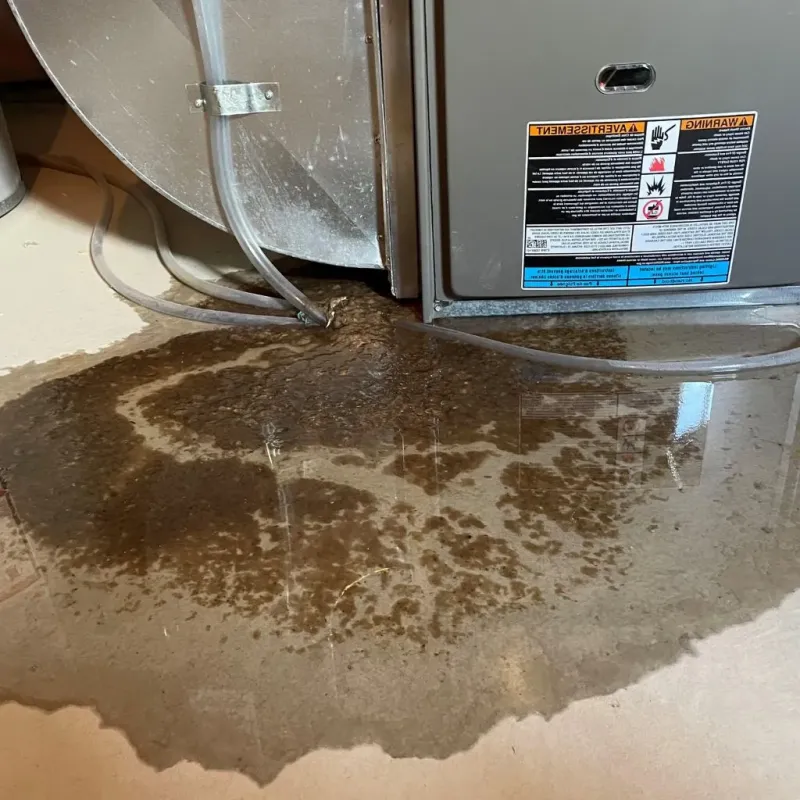 Pipe Burst and Leak Restoration in Manistee County, MI
