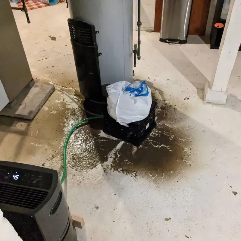 Sewage Backup Cleanup Service in Manistee County, MI